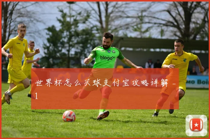 世界杯怎么买球支付宝攻略详解 _1