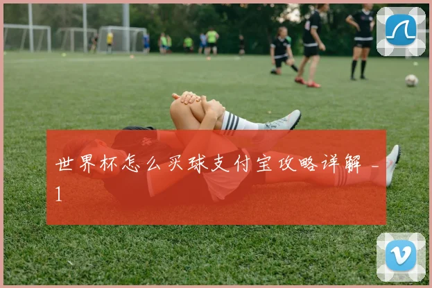 世界杯怎么买球支付宝攻略详解 _1